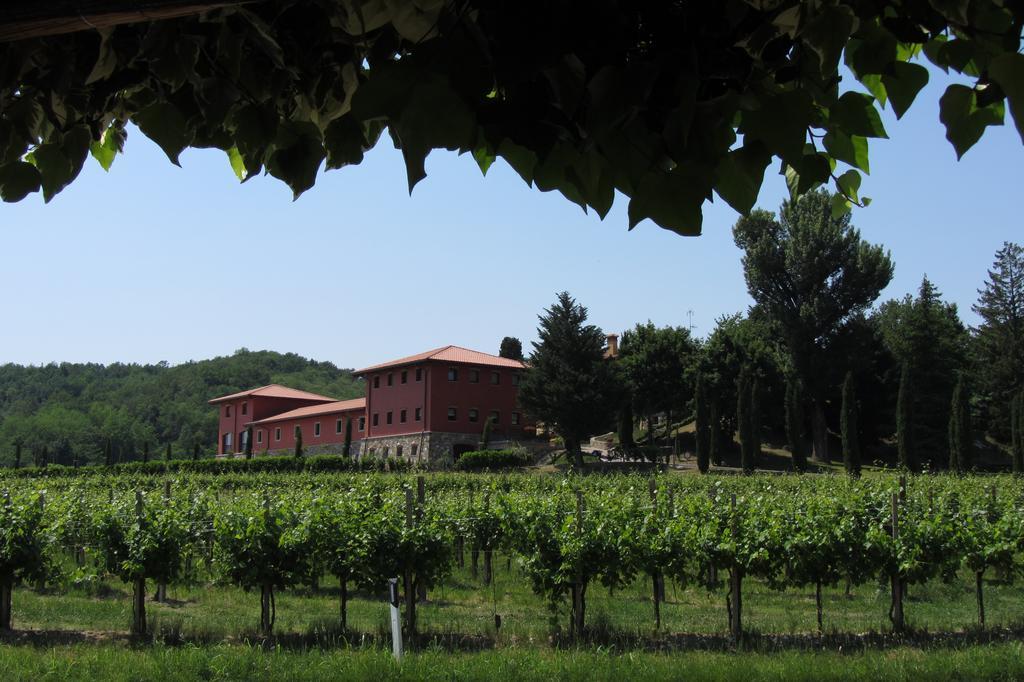 Bauernhof Il Roncal Wine - For Wine Lovers *