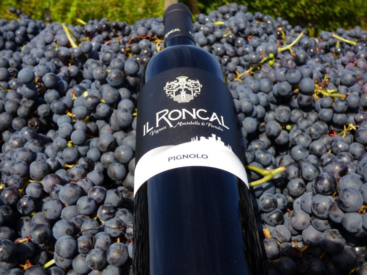 Il Roncal Wine - For Wine Lovers *