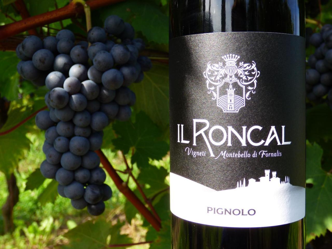 Bauernhof Il Roncal Wine - For Wine Lovers *
